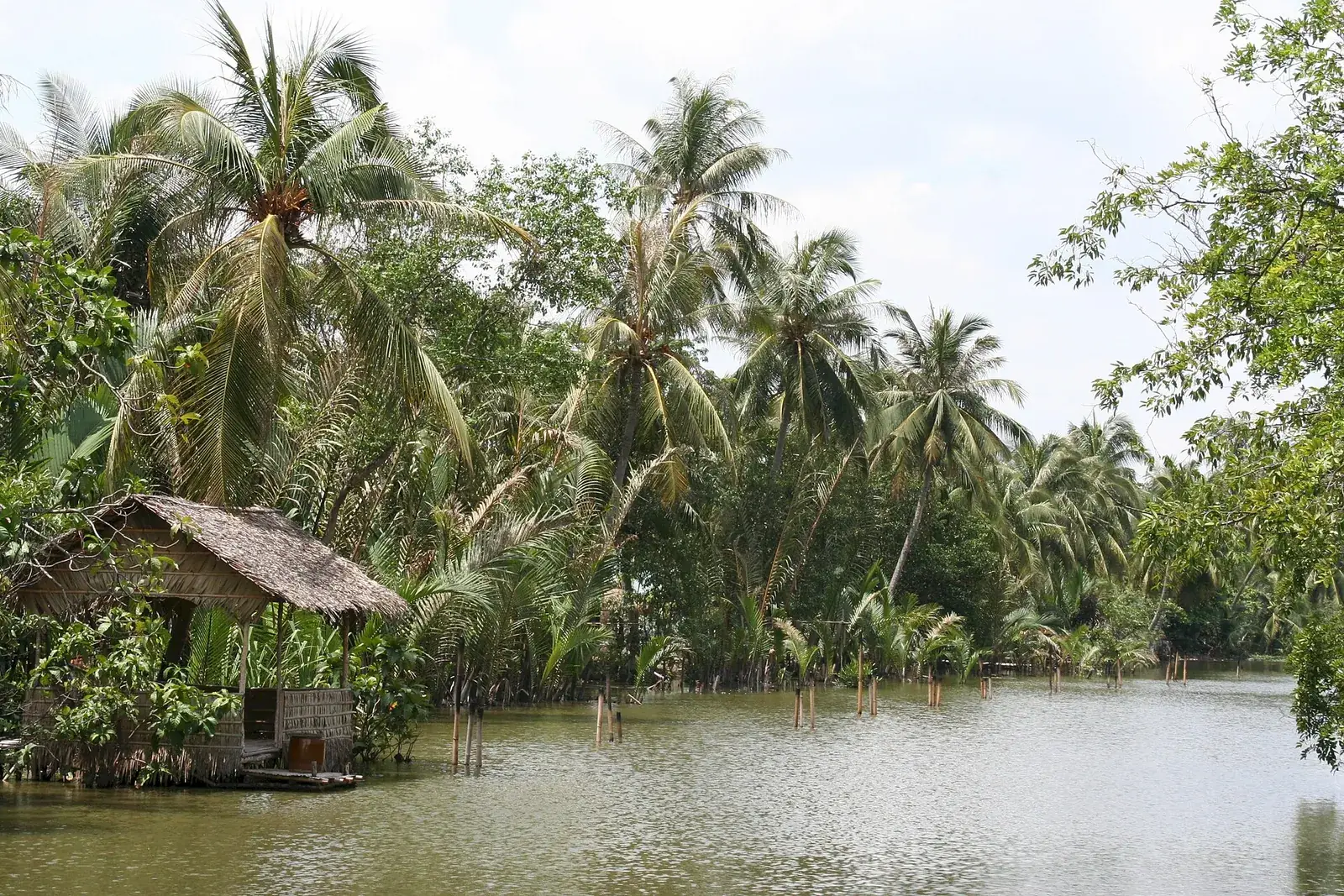 Chòi lá ven sông ở Bình Quới, nét sông nước đặc trưng của bán đảo Thanh Đa